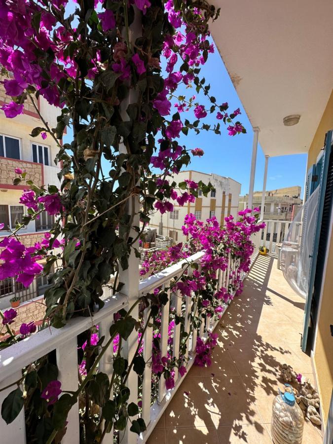 B&B Mi Ma Bo, Sal Rei, Boa Vista, Cape Verde, Free Wi-Fi Zewnętrze zdjęcie
