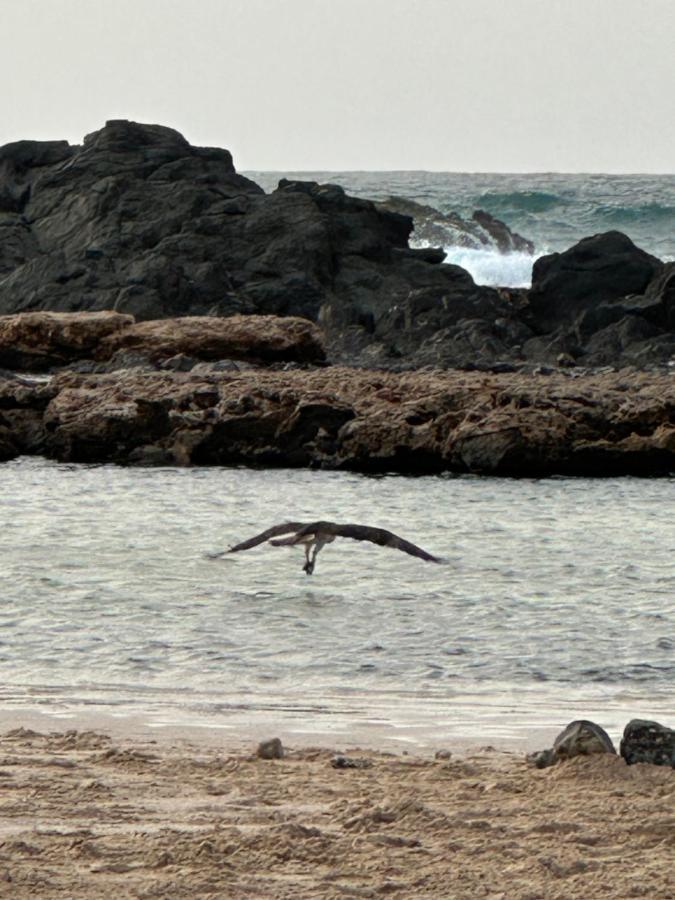 B&B Mi Ma Bo, Sal Rei, Boa Vista, Cape Verde, Free Wi-Fi Zewnętrze zdjęcie