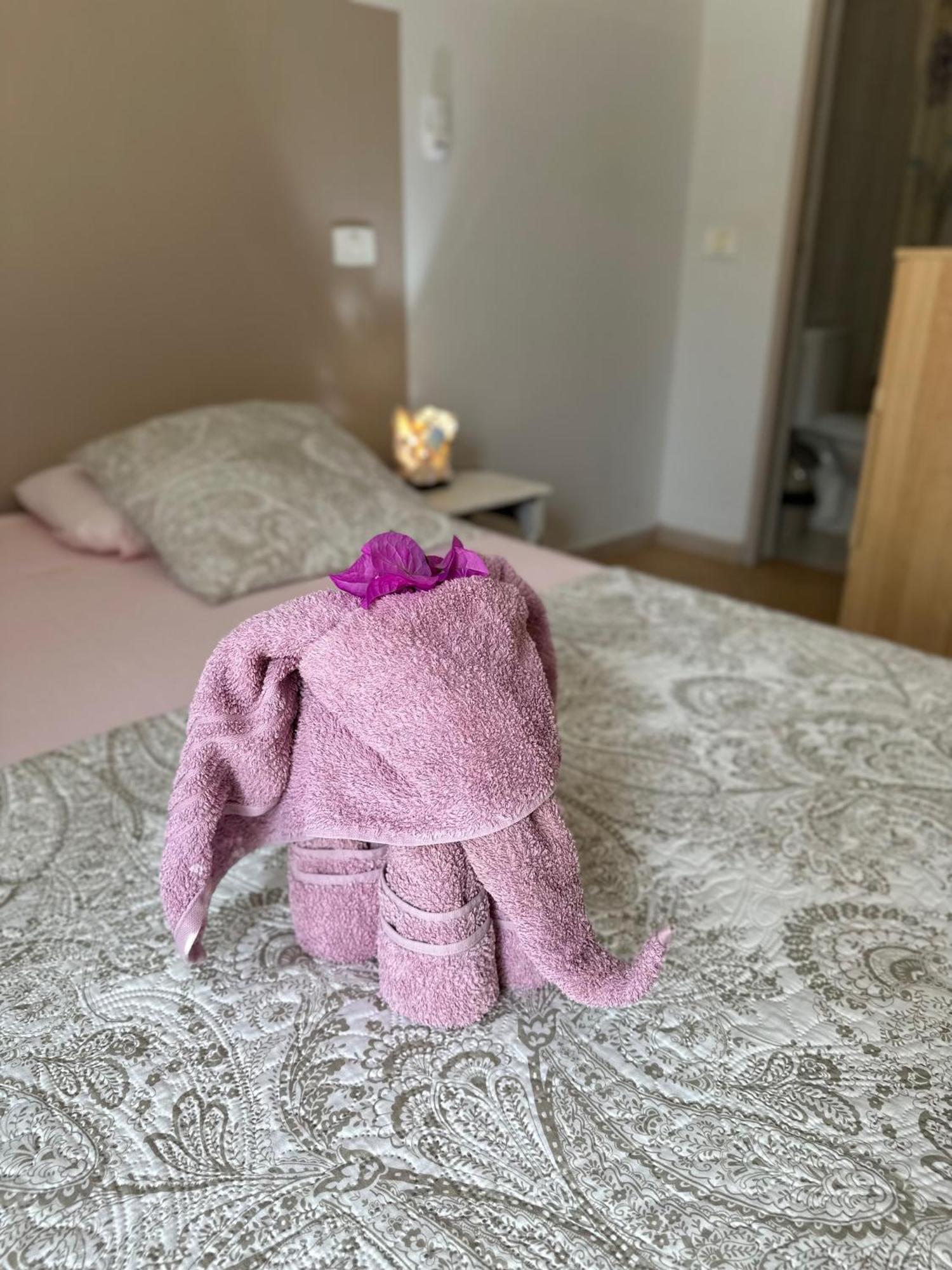 B&B Mi Ma Bo, Sal Rei, Boa Vista, Cape Verde, Free Wi-Fi Zewnętrze zdjęcie