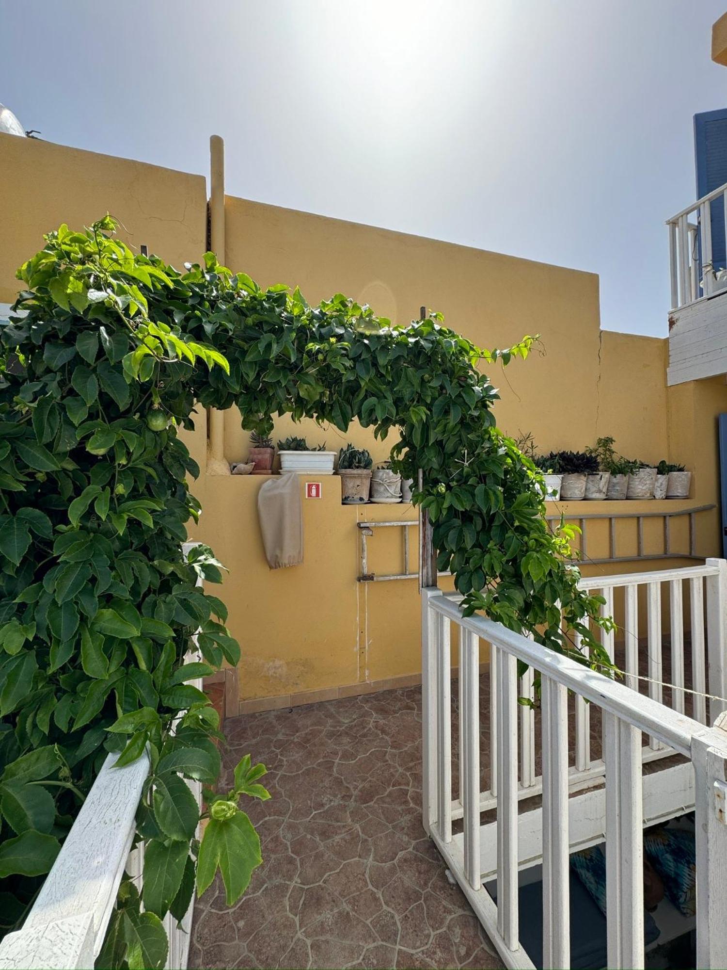 B&B Mi Ma Bo, Sal Rei, Boa Vista, Cape Verde, Free Wi-Fi Zewnętrze zdjęcie