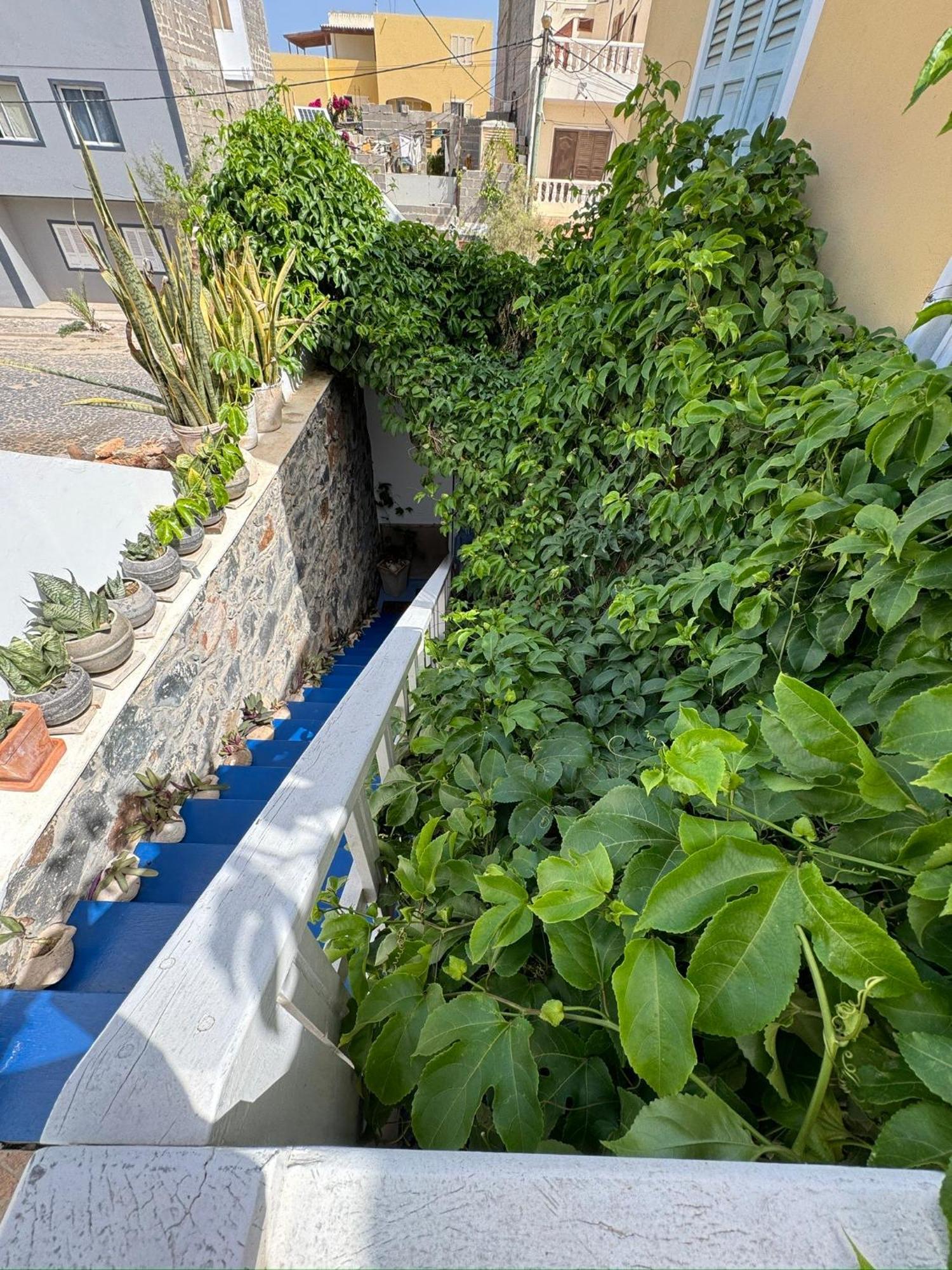 B&B Mi Ma Bo, Sal Rei, Boa Vista, Cape Verde, Free Wi-Fi Zewnętrze zdjęcie