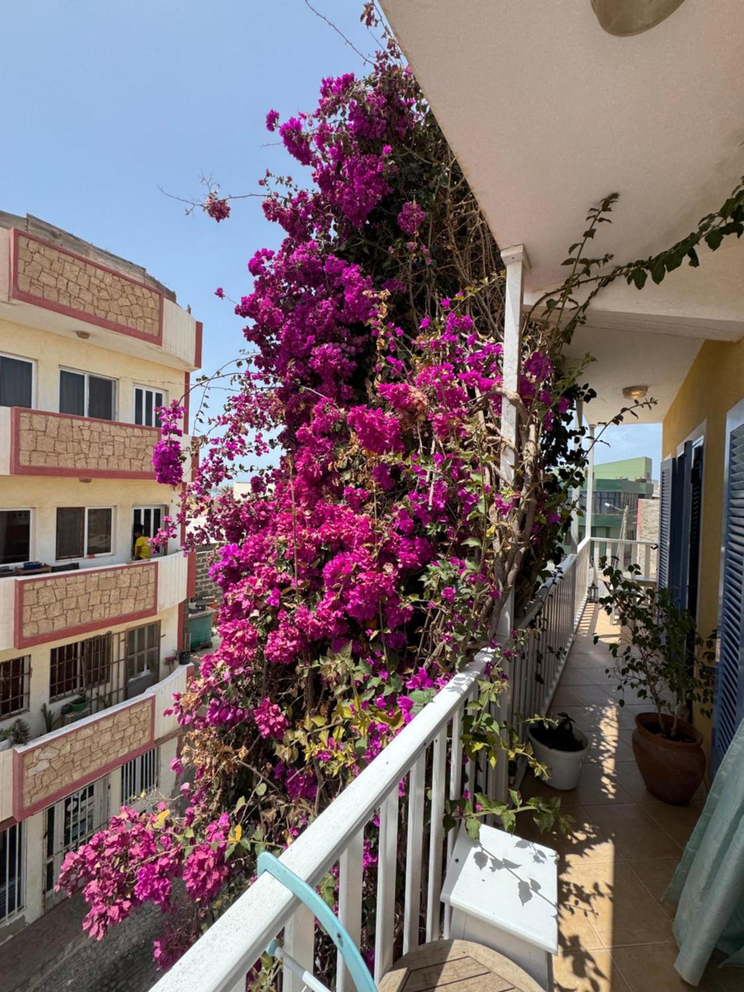 B&B Mi Ma Bo, Sal Rei, Boa Vista, Cape Verde, Free Wi-Fi Zewnętrze zdjęcie